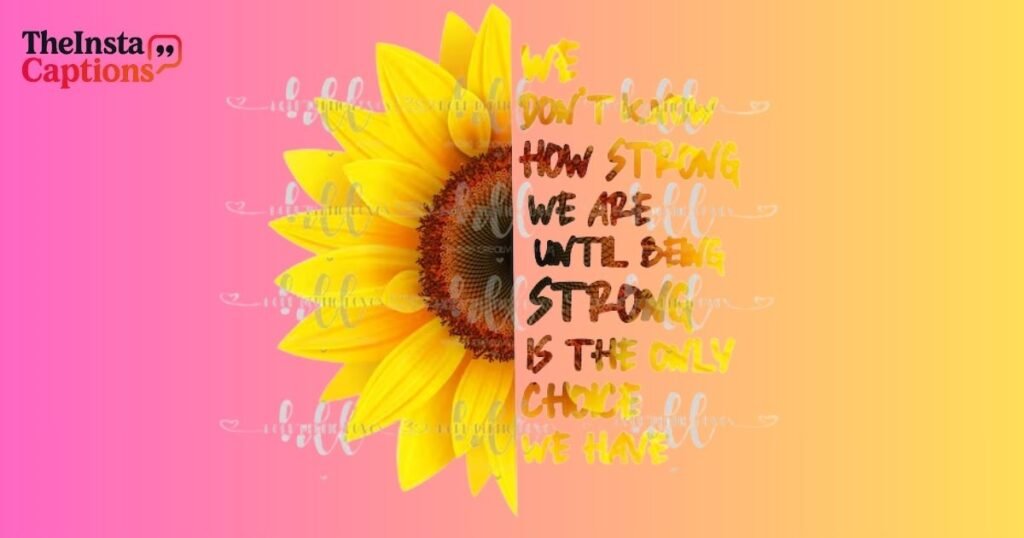 Cute Sunflower Quotes