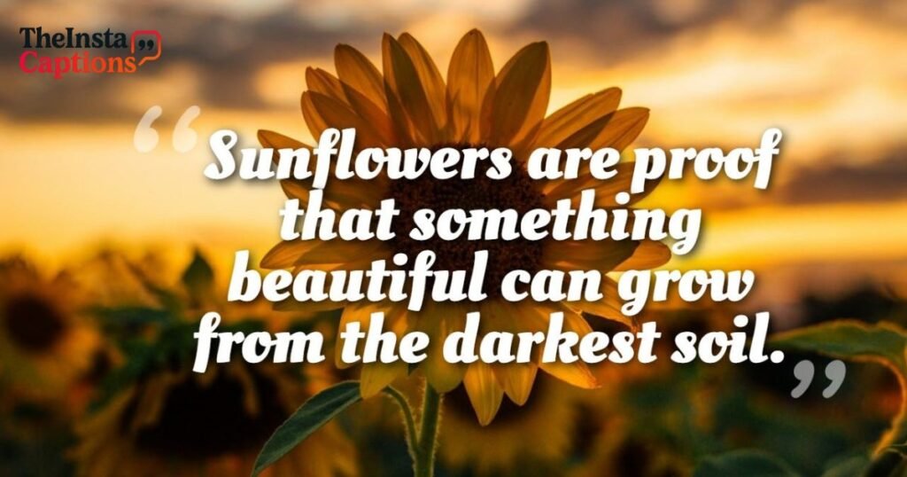 Famous Sunflower Quotes