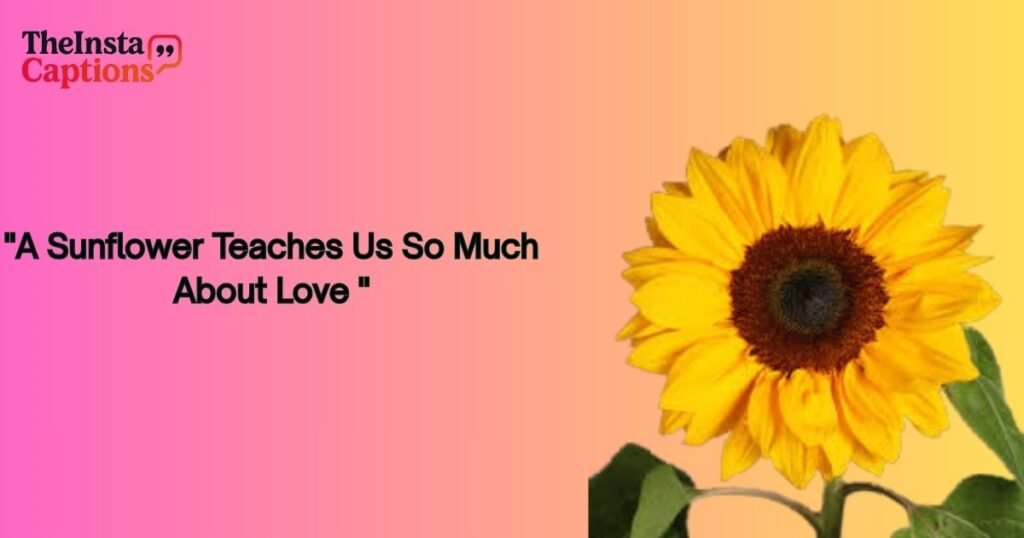 Good Sunflower Quotes