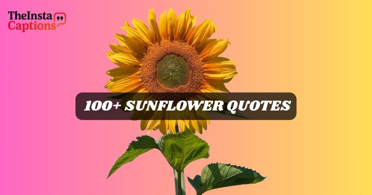 Sunflower Quotes