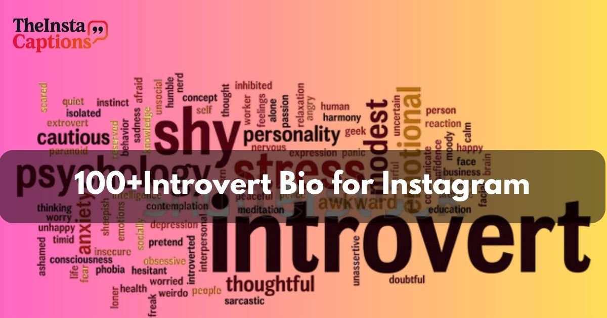 Introvert Bio for Instagram