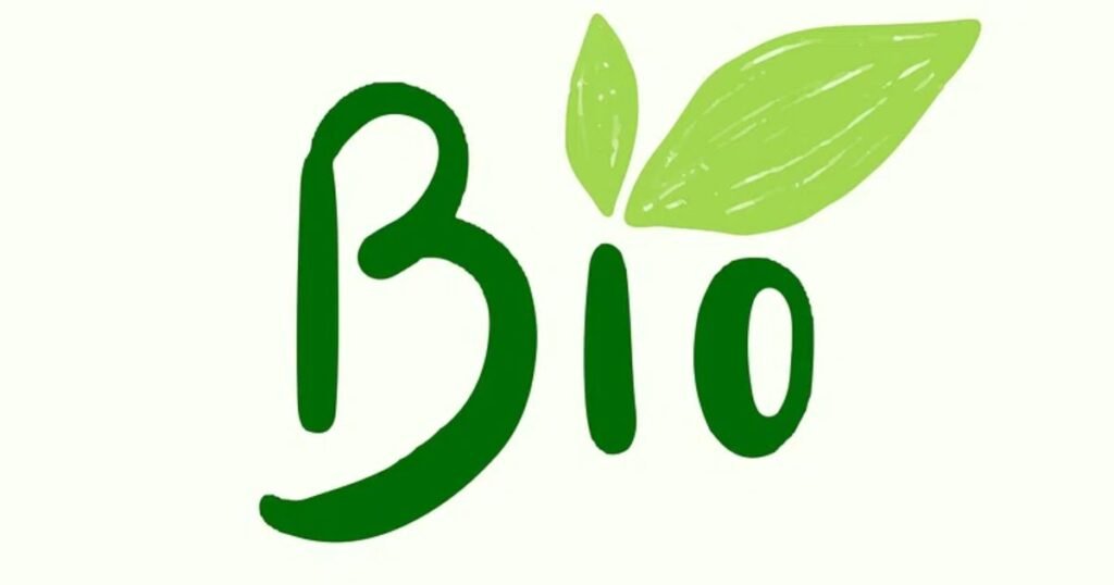 Catchy Whatsapp Bio for Boys